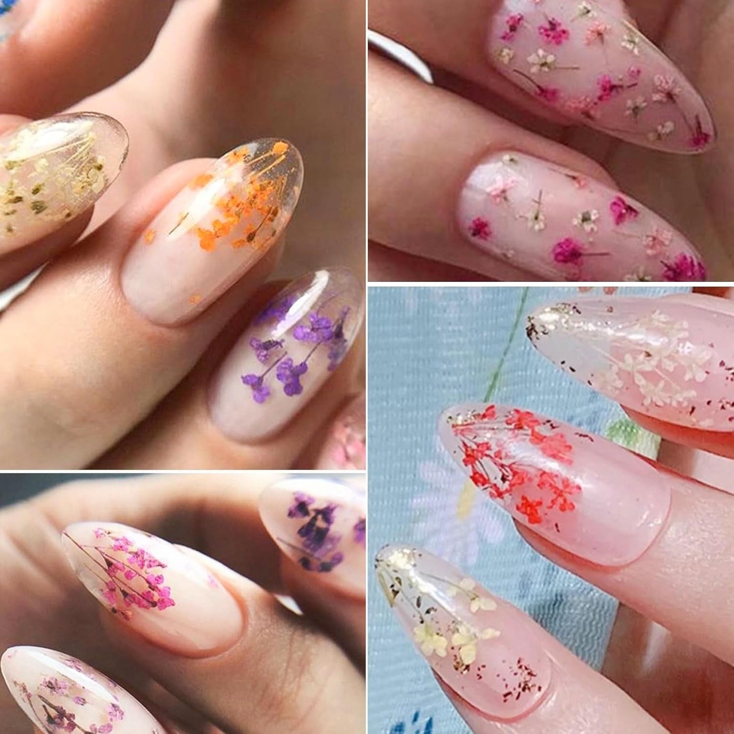 Gedroogde bloemen voor nagels 8 potten 3D gedroogde bloemen voor nagels Natuurlijke kleurrijke nagelstickers Gedroogde bloemen Nagelaccessoires voor nageldecoratie DIY ambachten