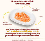 Almo Nature HFC Jelly - Natvoer voor volwassen katten - Zalm en Wortelen - Menselijke kwaliteit, Glutenvrij - 6 x 70g