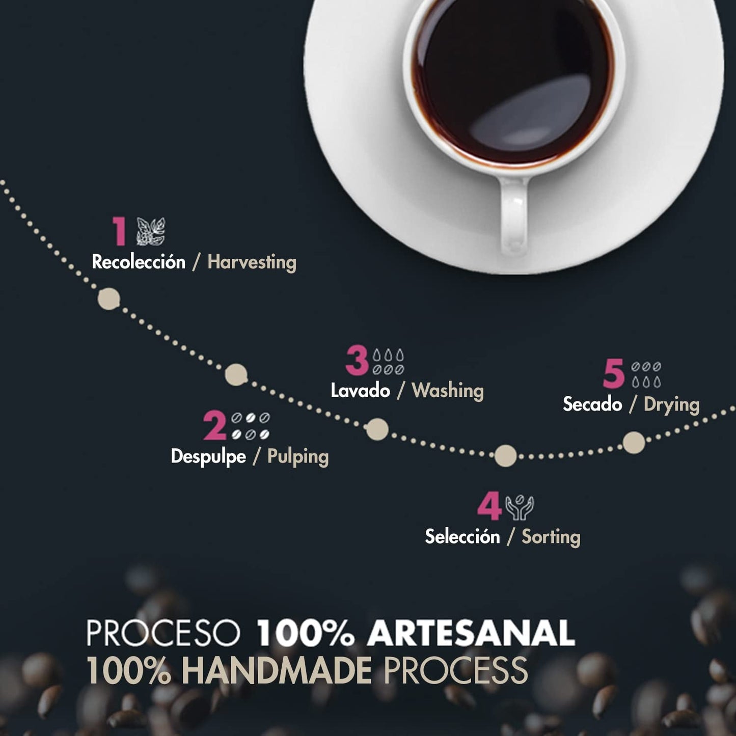 Geroosterde Arabica koffiebonen | 500 g met hints van cacao en amandelen | Van een traditionele koffiebrander | Delicate smaak