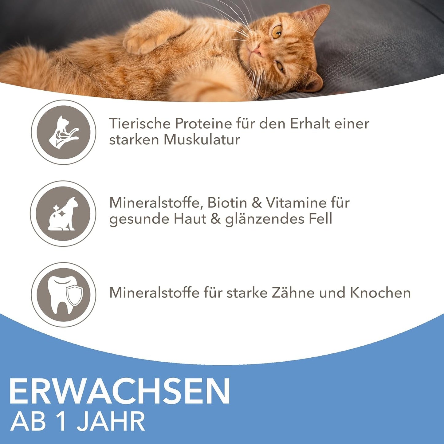 IAMS Delights Sea Collection Katzenfutter Nass - Multipack met vissortering (Lachs, Thunfisch, Makreel, Seefisch) in saus, Nassfutter für Katzen vanaf 1 jaar, 12 x 85 g