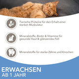 IAMS Delights Sea Collection Katzenfutter Nass - Multipack met vissortering (Lachs, Thunfisch, Makreel, Seefisch) in saus, Nassfutter für Katzen vanaf 1 jaar, 12 x 85 g