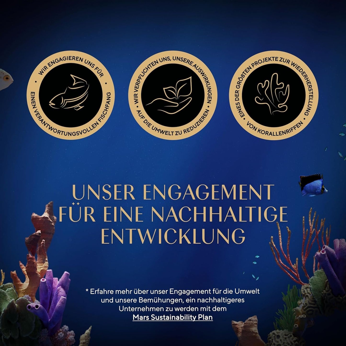 SHEBA Perfect PORTIONS paté voor katten met zalm, MSC gecertificeerd, 8 x 3 x (2 x 37,5 g) = 225 g (verpakking wordt bijgewerkt)