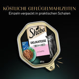Sheba natvoer voor katten, delicaat in zalmgelei, 2 x 11 x 85 g