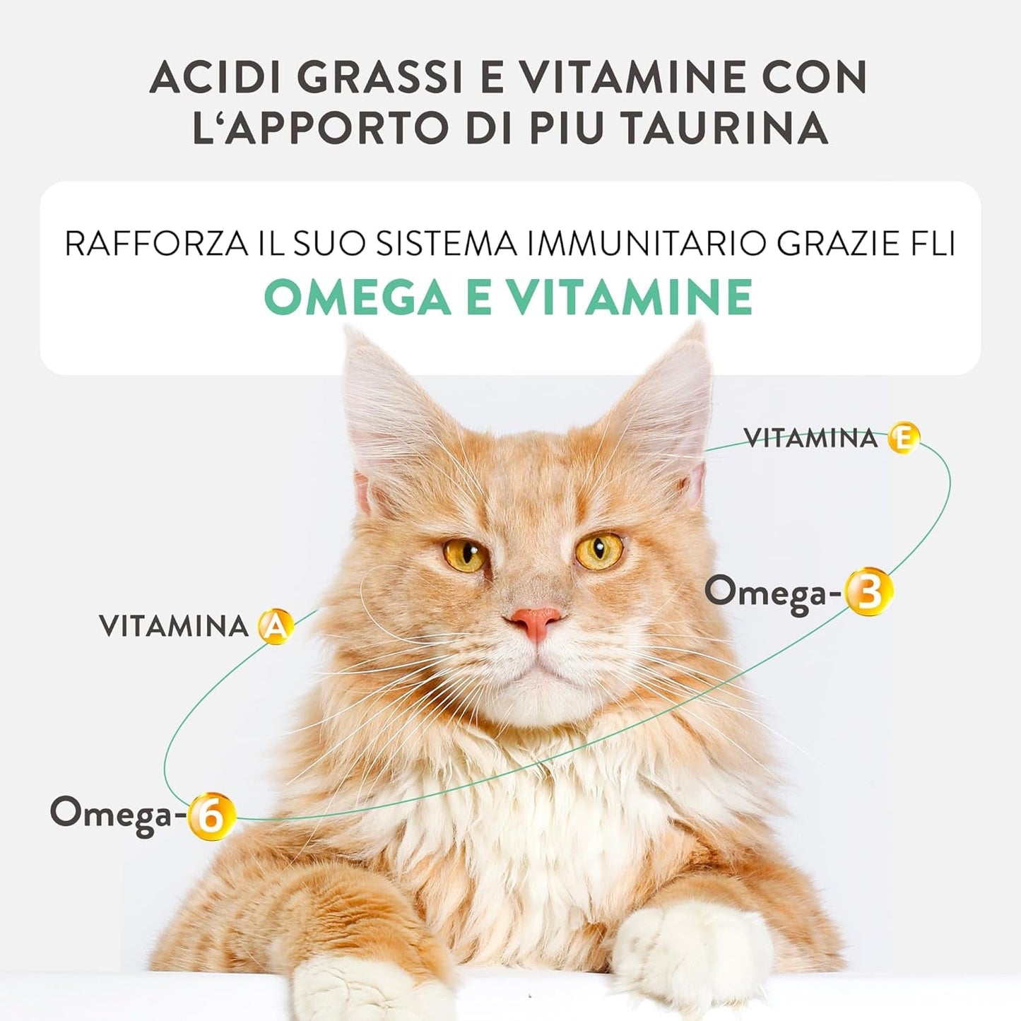 Zilveren Kip met Eendenmousse en Filets, Compleet Natvoer voor Senior Katten, Graanvrij, Immuunondersteuning, Vochtbron, 12 x 70 g