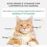 Zilveren Kip met Eendenmousse en Filets, Compleet Natvoer voor Senior Katten, Graanvrij, Immuunondersteuning, Vochtbron, 12 x 70 g