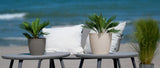 Set van 5 bruine potten, diameter 16 cm - Stevige kunststof potten - Decoratieve plantenbak met afwateringsmogelijkheid - Elegante pot voor binnen en buiten