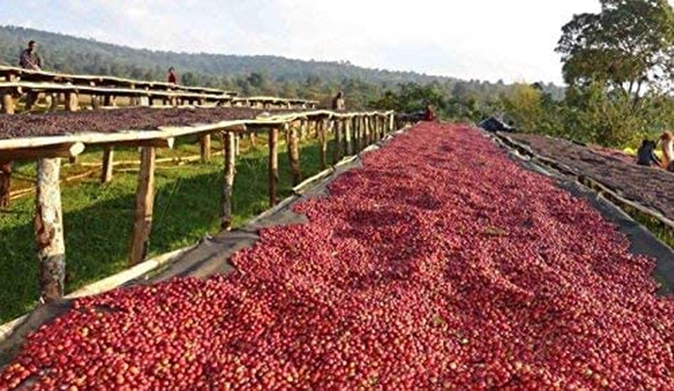 Cafeïnevrije koffiebonen 1 kg natuurlijk 100% - Espresso Intense smaak uit Colombia en Brazilië.
