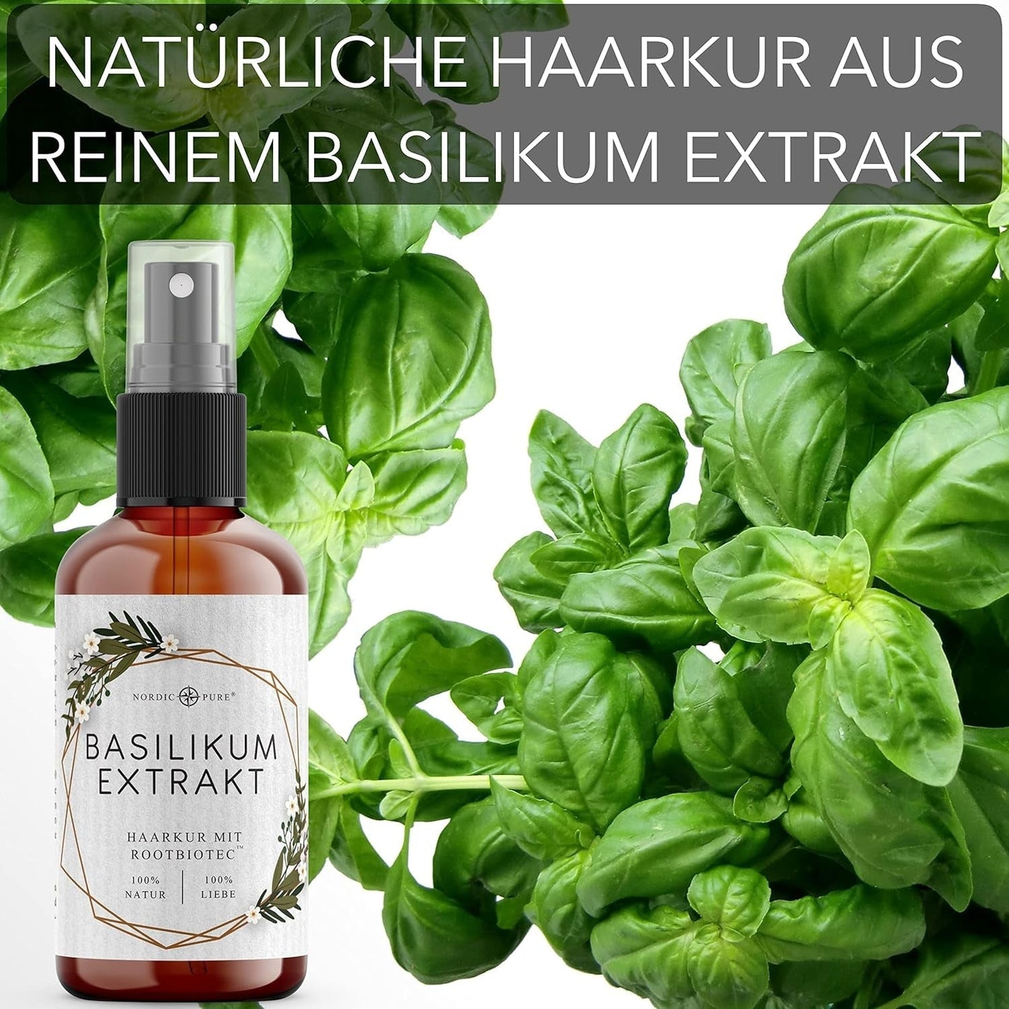 Haarbehandeling met basilicumextract van Nordic Pure | Voor de verzorging van dun, droog en kwetsbaar haar | Kan haaruitval voorkomen 100ml Naty Shop haarverzorging