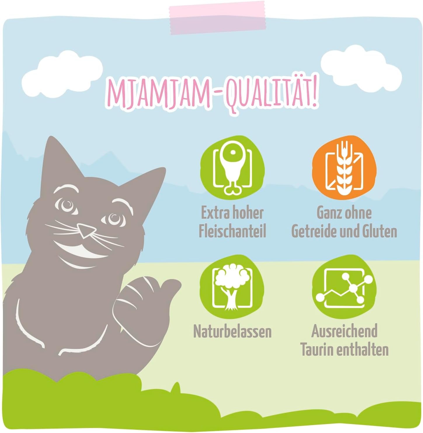 MjAMjAM - Premium natvoer voor katten - Sappige kip en wilde zalm, 6 stuks (6 x 400 g), graanvrij met extra vlees