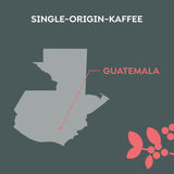Melitta Manufaktur-Kaffee Guatemala Honing, Spezialitäten, 250g, Ganze Bohnen, Ungemahlen, Single-Origin, Sanfte Trommelröstung, Geröstet in Deutschland, Stärke 3
