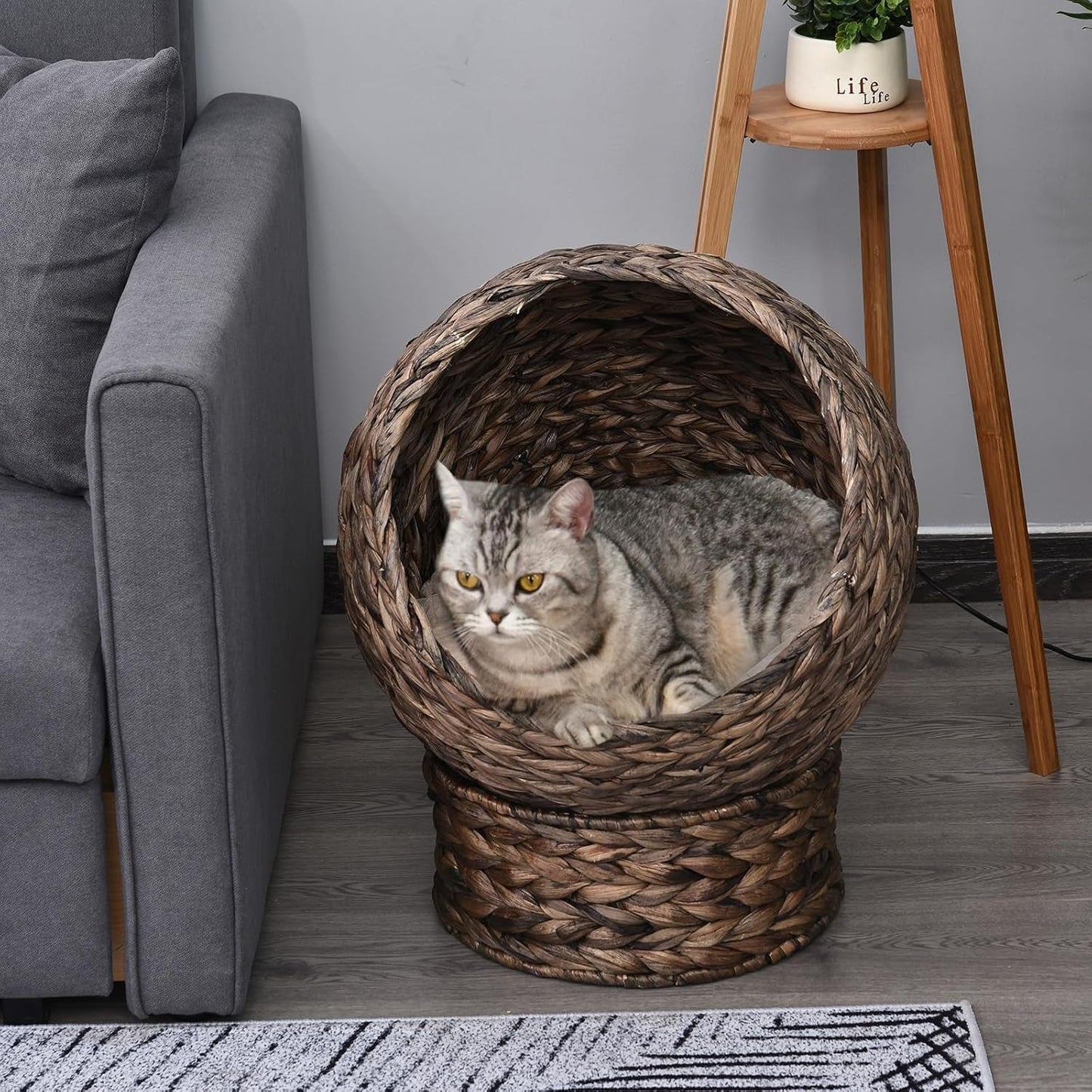 PawHut Rotan Katzenkorb Katzenhöhle Katzenhütte Katzenbett mit Kissen Haustierbett Wasserhyazinthe Kaffee 50 x 42 x 60 cm