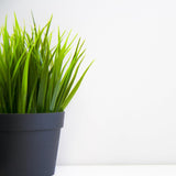 Kleine plastic pot - diameter 12 cm, licht en duurzaam, ideaal voor zaailingen, stekken en kamerplanten - willekeurige kleur, Aléatoire