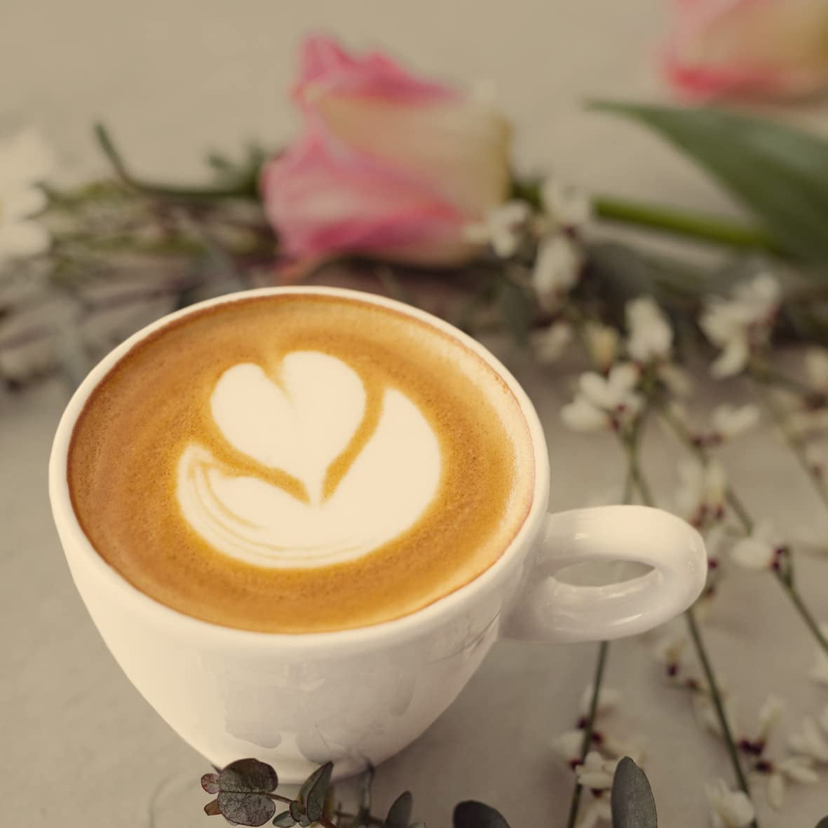 - Mokka 1000g | Sterke koffie voor Schümli en espresso uit volautomaten | Hele gebrande koffiebonen | Met 90% Arabica bonen