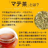 Mate Tea MATTE Natuurlijke theezakjes 40G