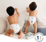 BIOLANE - Korte luiers - Maat 5 (12-18 kg) - 12 uur strakheid - 1 maandverpakking - 120 luiers - ecologisch