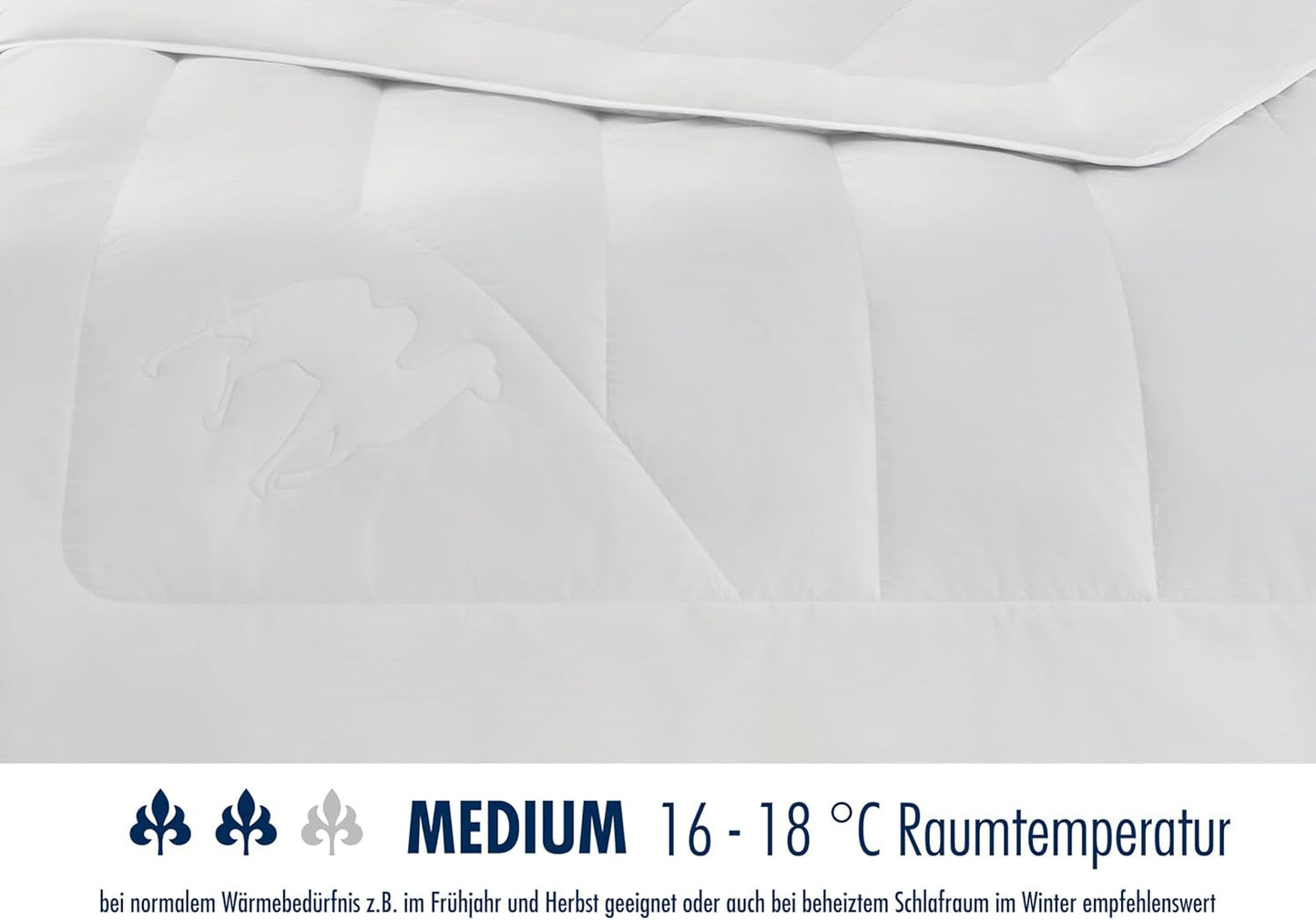 Irisette kamelendekbed - Made in Germany - Mono, dekbed voor alle seizoenen, kamelenhaardekbed voor overgang, 155 X 220 cm, Oeko-Tex gecertificeerd Quilts en quilts Naty Shop