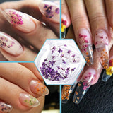 EYVRPAU 6 Stück Nail Art Flowers Set Decoration, Gelnägel Zubehör 6 Farben, Nail Art Aufkleber Trockene Blumen Kit Getrocknete Blumen Zubehör Set DIY Nageldecoratie