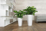 Plantenbak LECHUZA Rondo Premium 32 Mat Wit | Plantenzuil met bewateringssysteem, waterniveau-indicator en planteninzet | Matte afwerking | Ø 32,5 x 56,5cm | 15786