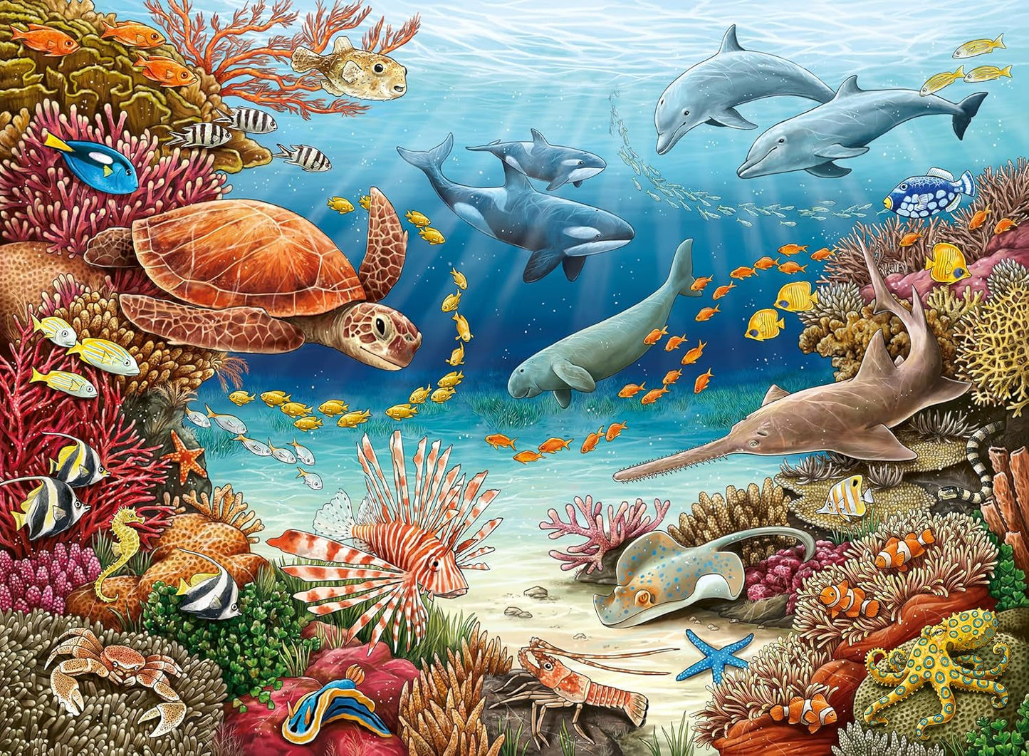 Ravensburger kinderpuzzel 13411 - Zeedieren op het koraalrif - Waarom? Waarom? Waarom? Puzzel 150 stukjes XXL + kennisposter, voor kinderen vanaf 7 jaar Puzzel Naty Shop
