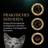 Sheba natvoer voor kittens, in diverse zakjes, met zalm (MSC) en kip in saus, multipack 40x85g