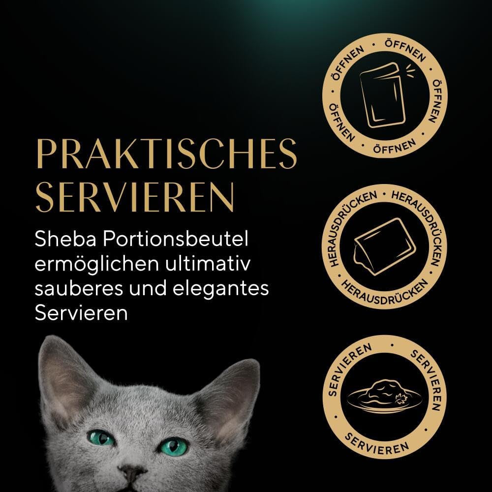 Sheba natvoer voor kittens, in diverse zakjes, met zalm (MSC) en kip in saus, multipack 40x85g