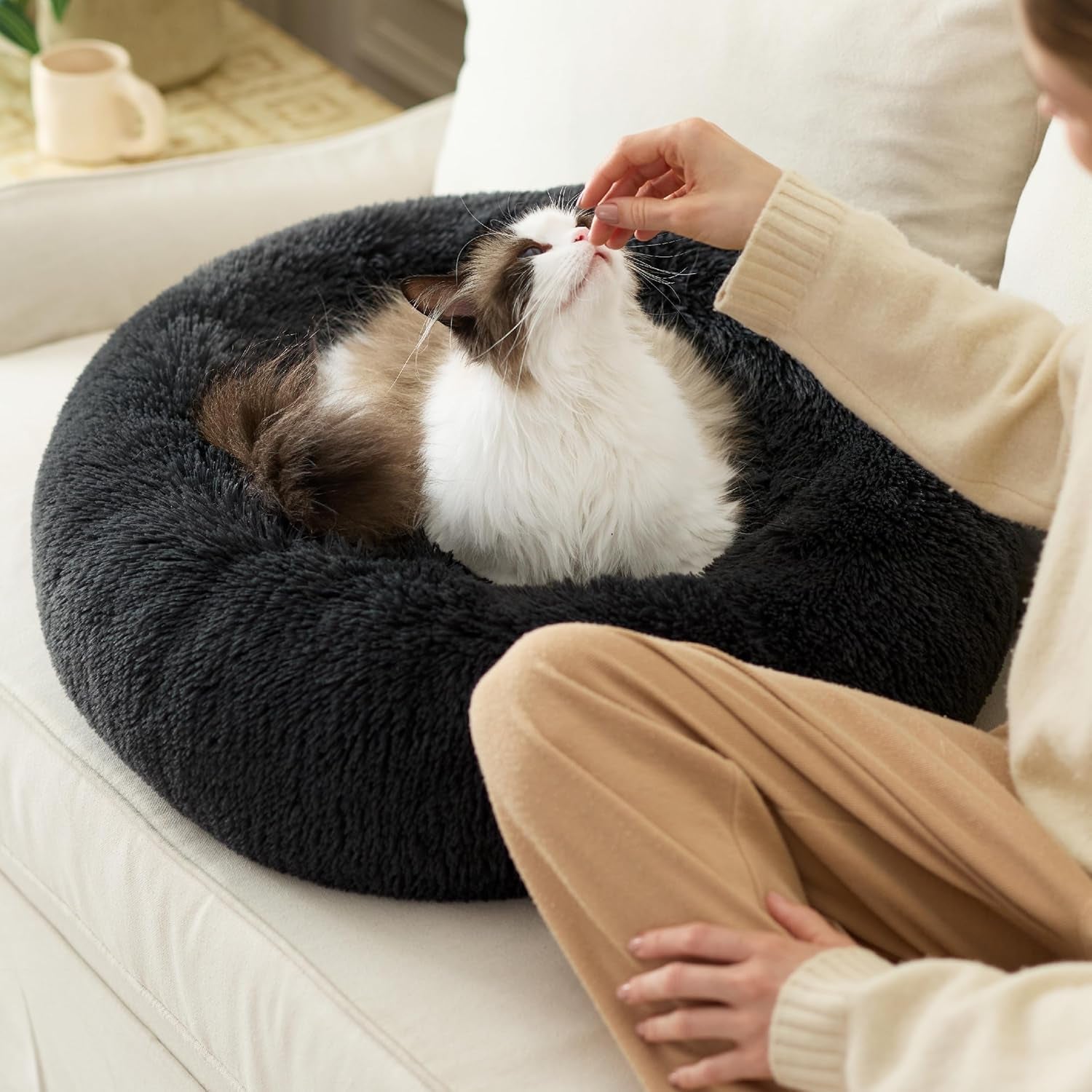 Bedden, dekens & meubels, huisdieren, katten, kattenbedden, Katten - bedden, matrassen