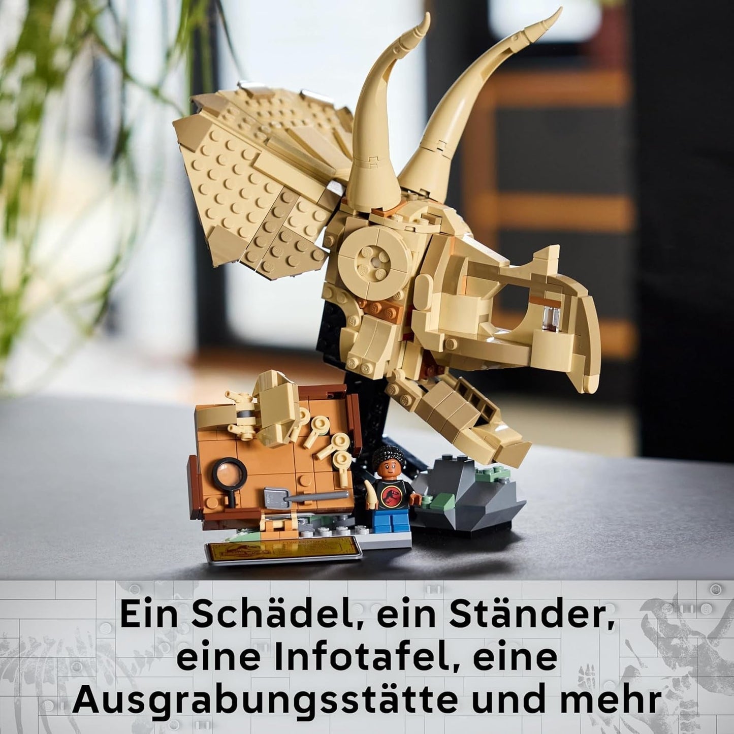 LEGO Jurassic World Dinosaurusfossielen: Triceratops schedelmodel, dinosaurusspeelgoed voor jongens en meisjes vanaf 9 jaar, cadeau voor kinderen en fans Jurassic World 76969 Bouwsets Besuche den LEGO-Store