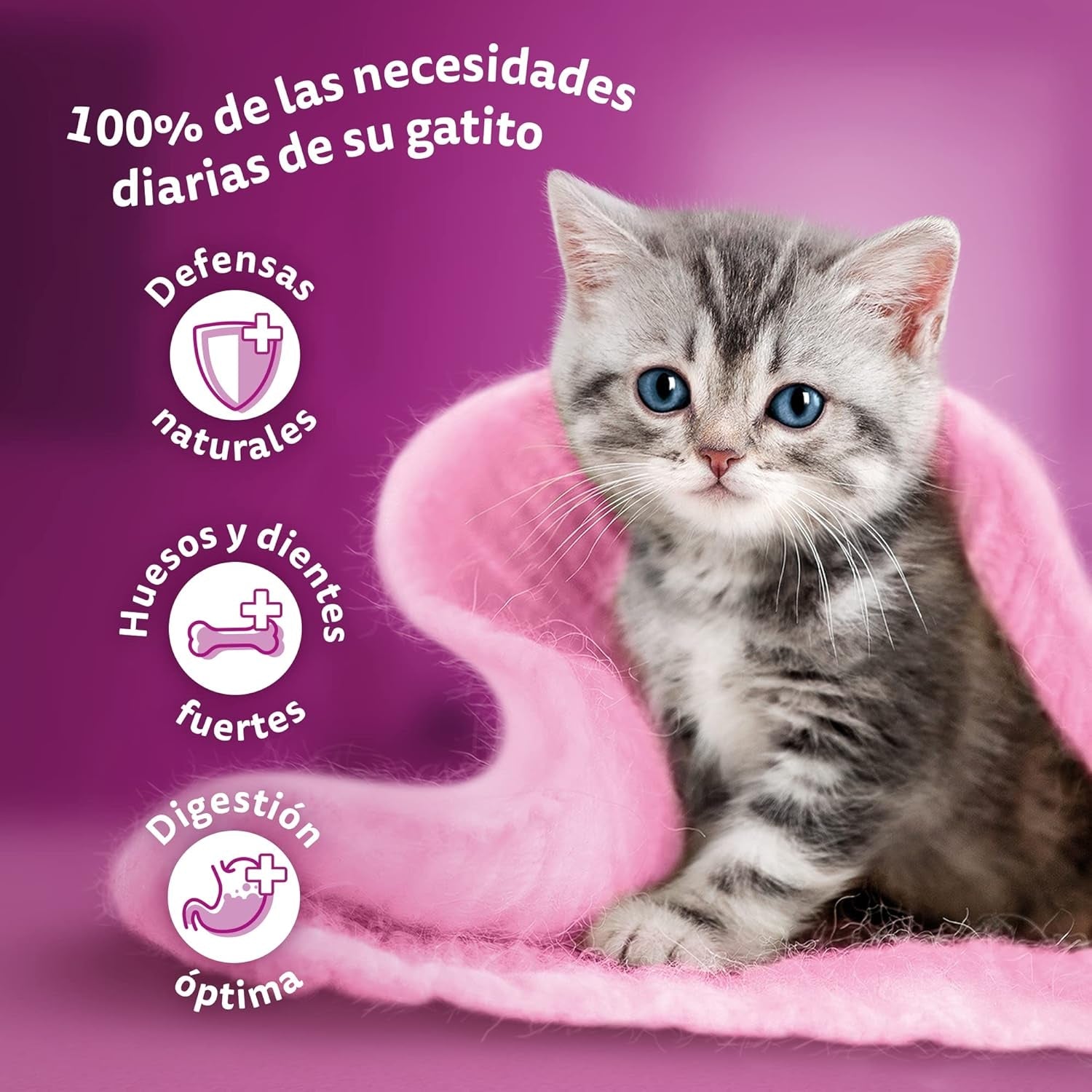 Whiskas Junior Classic natvoer voor katten, 13 x 4 x 85 g