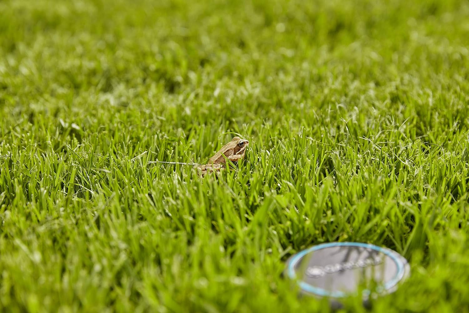 Gardena verlengkabel (10 m) voor regensensor en bodemvochtsensor, aansluitkabel met Easy Click systeem, verlengbaar tot 105 m, voor boven- en ondergronds gebruik (01868-20)