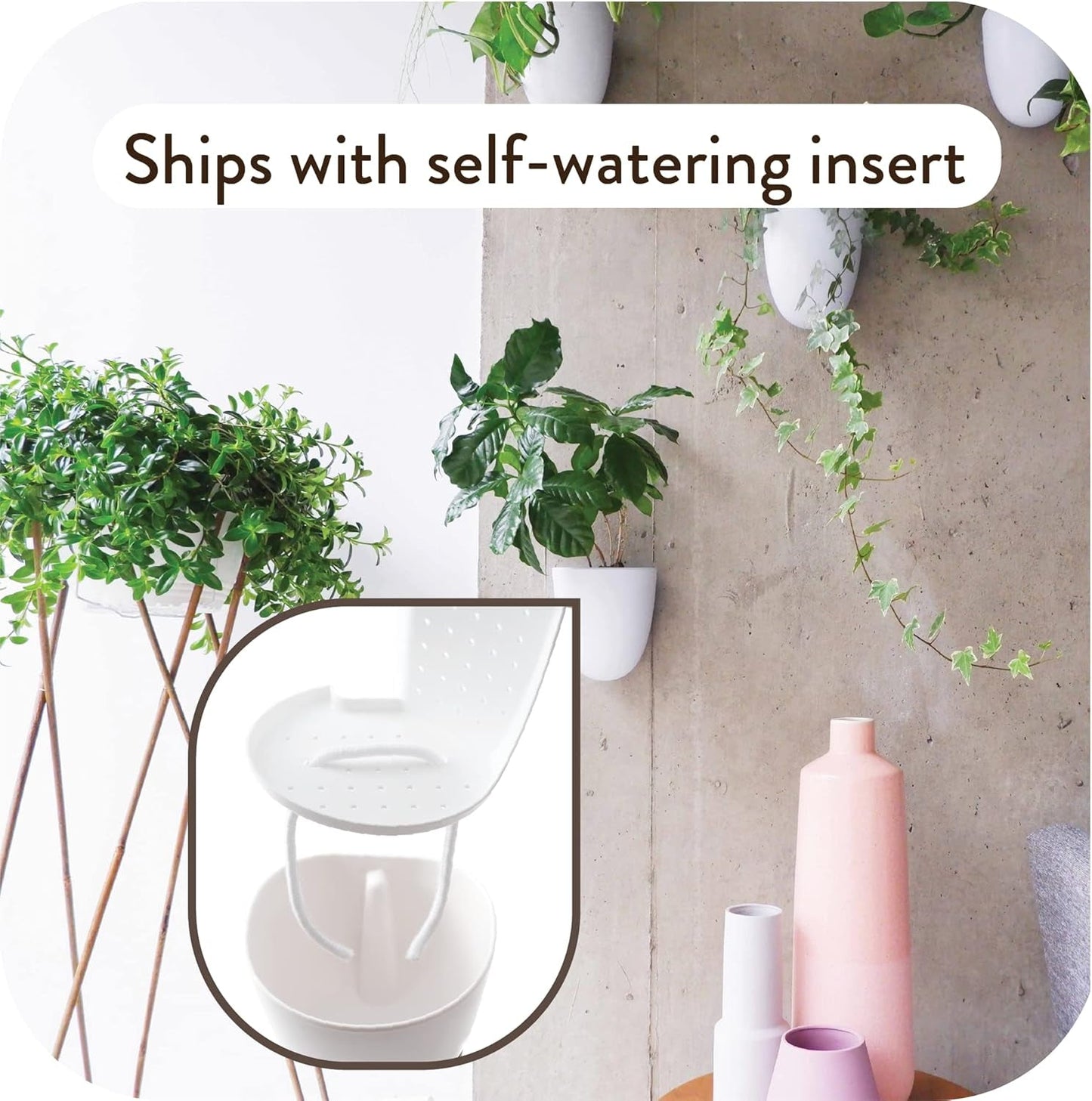 Virgo zelfwatergevende muurpotten (set van 6) - eenvoudig water te geven en te installeren - lichtgewicht - creëer uw eigen verticale tuin - muurpotten voor kamerplanten