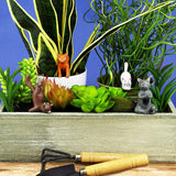 Gift Republic Mini-bloempot Yoga Katten, Veelkleurig, 1