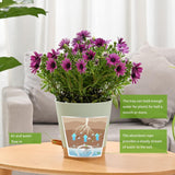 Bloempot 6 stuks 12,7 cm zelfwater gevende plantenbak hoge drainage binnen buiten bloempot met reservoirbak en gietrand tuin plantenbak tuin