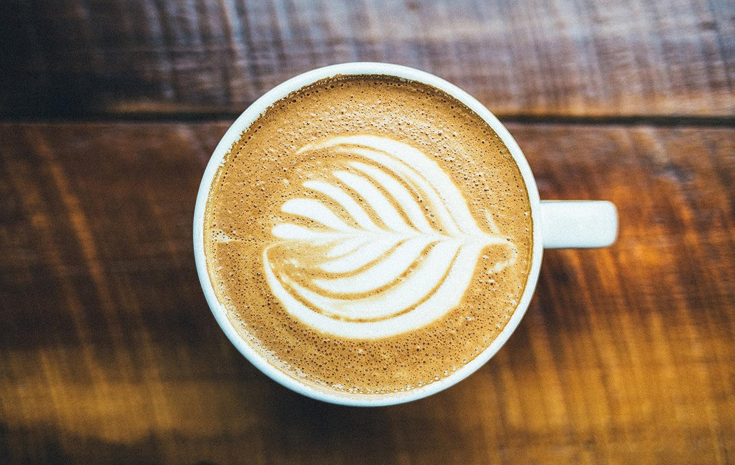 Speciale koffie uit Zuid-Amerika - Galapagos, het unieke ecosysteem van de eilanden (1000 gram, hele bonen) - single origin koffie - premium koffie - lage zuurgraad - licht gebrand en vers