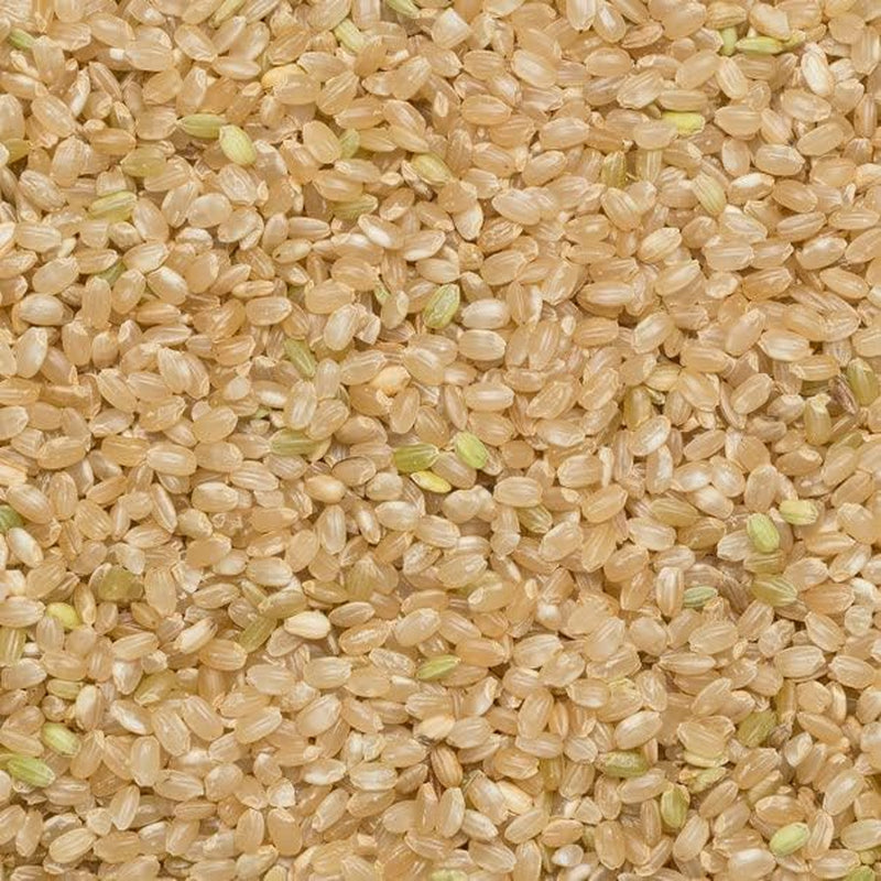 Wholefood Earth kortkorrelige bruine rijst - non-GMO - natuurlijk - vegan - zuivelvrij - geen toegevoegde suikers, 3 kg