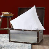 Bedmijt- en bedwantskussen 60 X 60 cm, medium comfort, Multi Protect kussen, zachtheid en bescherming, machinewasbaar op 40 °C Naty Shop standaard kussens