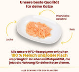 Almo Nature HFC Jelly - Nassfutter für ausgewachsene Katzen - Lachs - Menselijke kwaliteit, glutenvrij en monoproteïne - 6 x 70 g