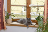 Dekens en Meubels, Huisdieren, Katten, Kattenbedden, Krabmatten, Katten - bedden, matrassen