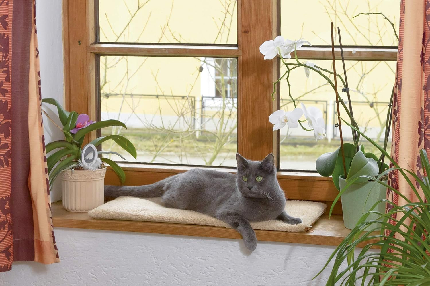 Dekens en Meubels, Huisdieren, Katten, Kattenbedden, Krabmatten, Katten - bedden, matrassen