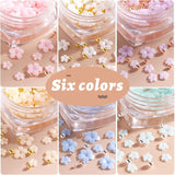 6 Box 3D Flower Nagelkunst Charms, Acryl Flower Nagel Strass Mit Gold en Silverperlen Ornamenten, Nagel Edelsteine, Nagel Zubehör Für Mädchen, Frauen, DIY Nageldesign, Basteldekoration…