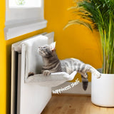 Bedden en banken, dekens en meubels, huisdieren, katten, kattenbedden, katten - bedden, matrassen
