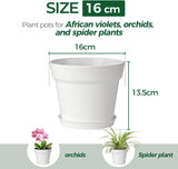 T4U 16 cm plastic bloempot met schotel, set van 6 plastic kruidenpotten met meerdere afvoergaten, ronde pot voor binnen en balkon vetplanten, cactussen, wit