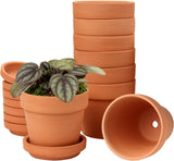 Hollyone 8-delige kleine terracotta plantenbakkenset, 8x8cm ronde kleipotten met plaat en afvoergat, kleine plantenbakken met lade, terracotta succulente potten voor kamerplanten, keramische plantenbakken