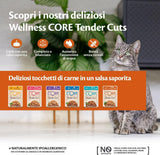 Wellness CORE Tender Cuts 6 x 85 g, Chicken Selection Mix - Natvoer voor katten, malse stukjes in saus, graanvrij, natuurlijk, hypoallergeen, rijk aan eiwitten, hoog vleesgehalte