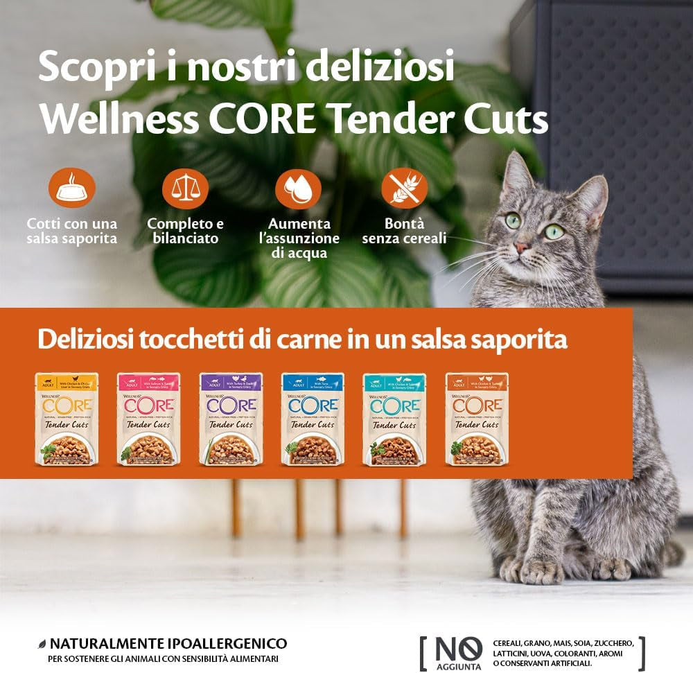 Wellness CORE Tender Cuts 6 x 85 g, Chicken Selection Mix - Natvoer voor katten, malse stukjes in saus, graanvrij, natuurlijk, hypoallergeen, rijk aan eiwitten, hoog vleesgehalte