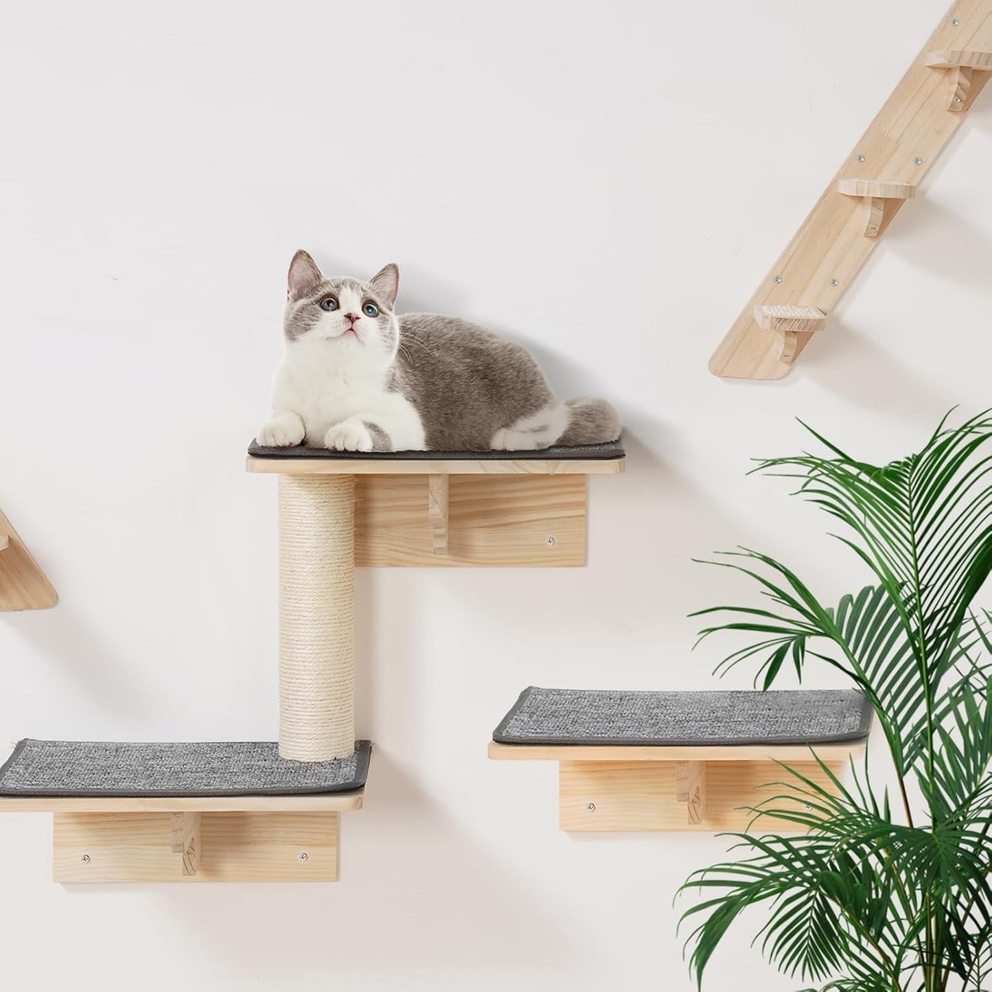 Dekens & Meubels, Huisdieren, Katten, Kattenbedden, Katten - bedden, matrassen