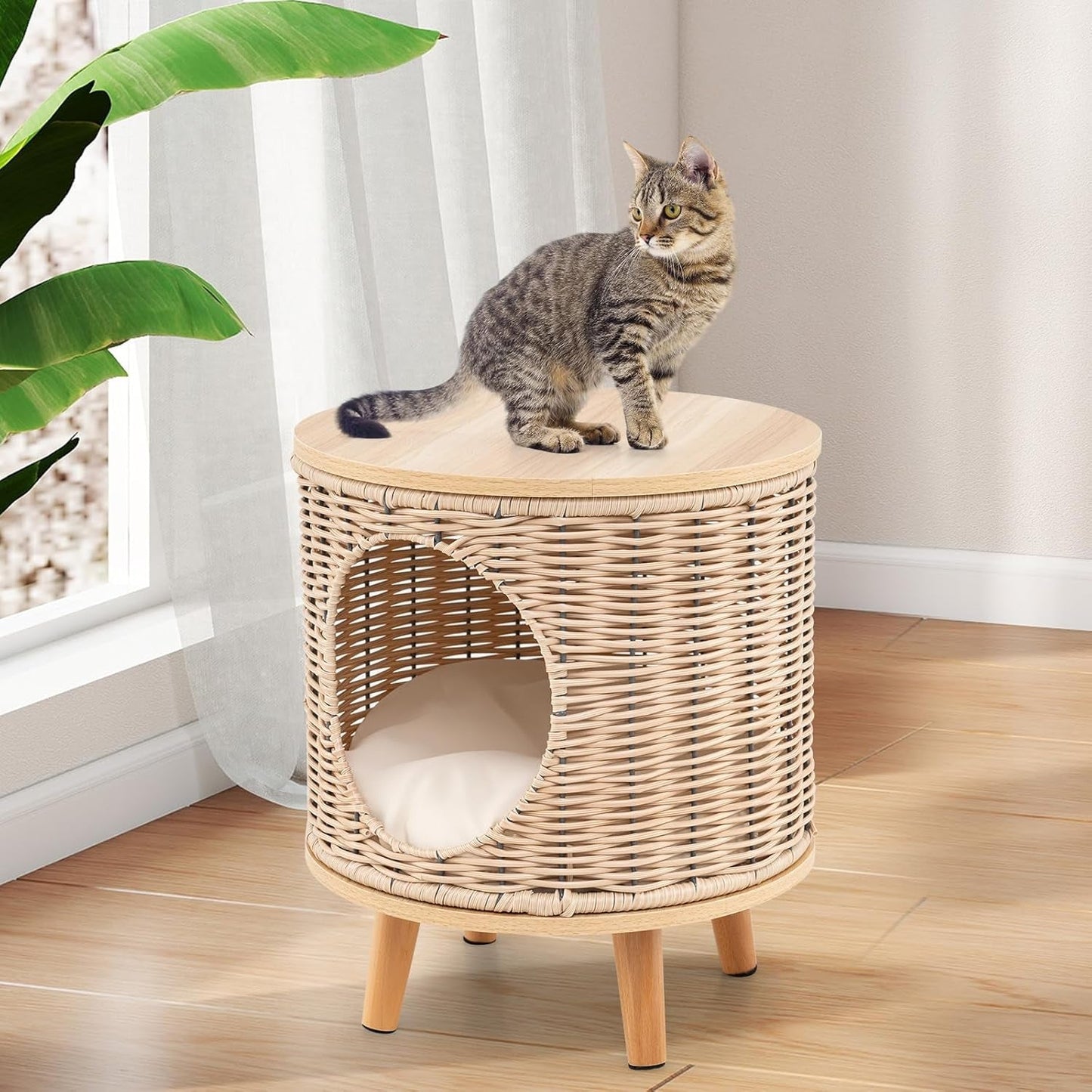 Katzenhaus Rattan, Katzenmöbel mit Holzbeinen & soft Kissen, 3 in 1 Katzenhöhle Fußhocker Nachttisch, Katzenbett stabil bis 30 kg voor Wohnzimmer Schlafzimmer