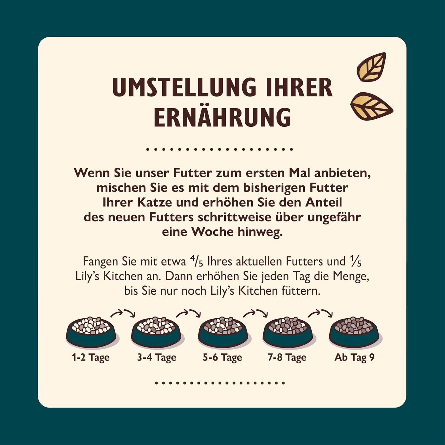 Lily's Kitchen Aus Naturichen Ingrediënt hermestellung Zerkleinerte Filets in Gelee mit Hühnchen und Lachs Ausgewachsen Nassfutter für Katzen 70 g dosis