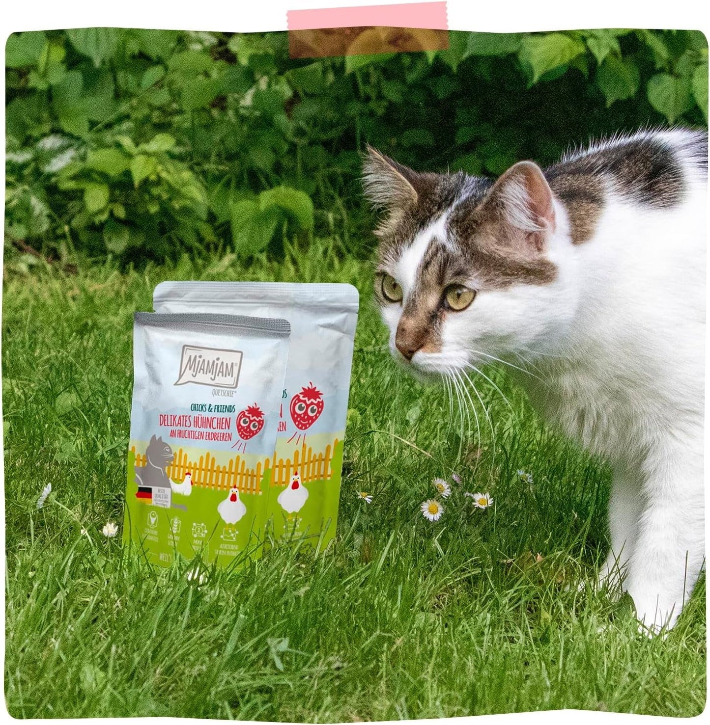 MjAMjAM - Premium natvoer voor katten - delicate kip met fruitige aardbeien 400 g, verpakking van 6 (6 x 400 g), natuurlijk met extra vlees