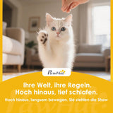 Bedden en banken, dekens en meubels, huisdieren, katten, kattenbedden, katten - bedden, matrassen