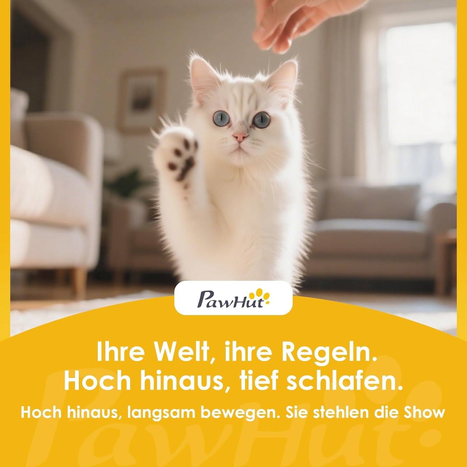 Bedden en banken, dekens en meubels, huisdieren, katten, kattenbedden, katten - bedden, matrassen